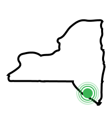 Contact Experienced SEO Company - New York Map - Forix SEO